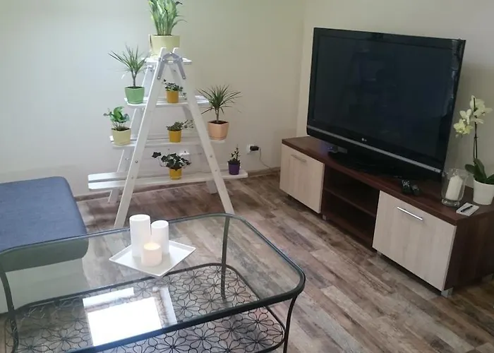 Abc 게스트하우스 *